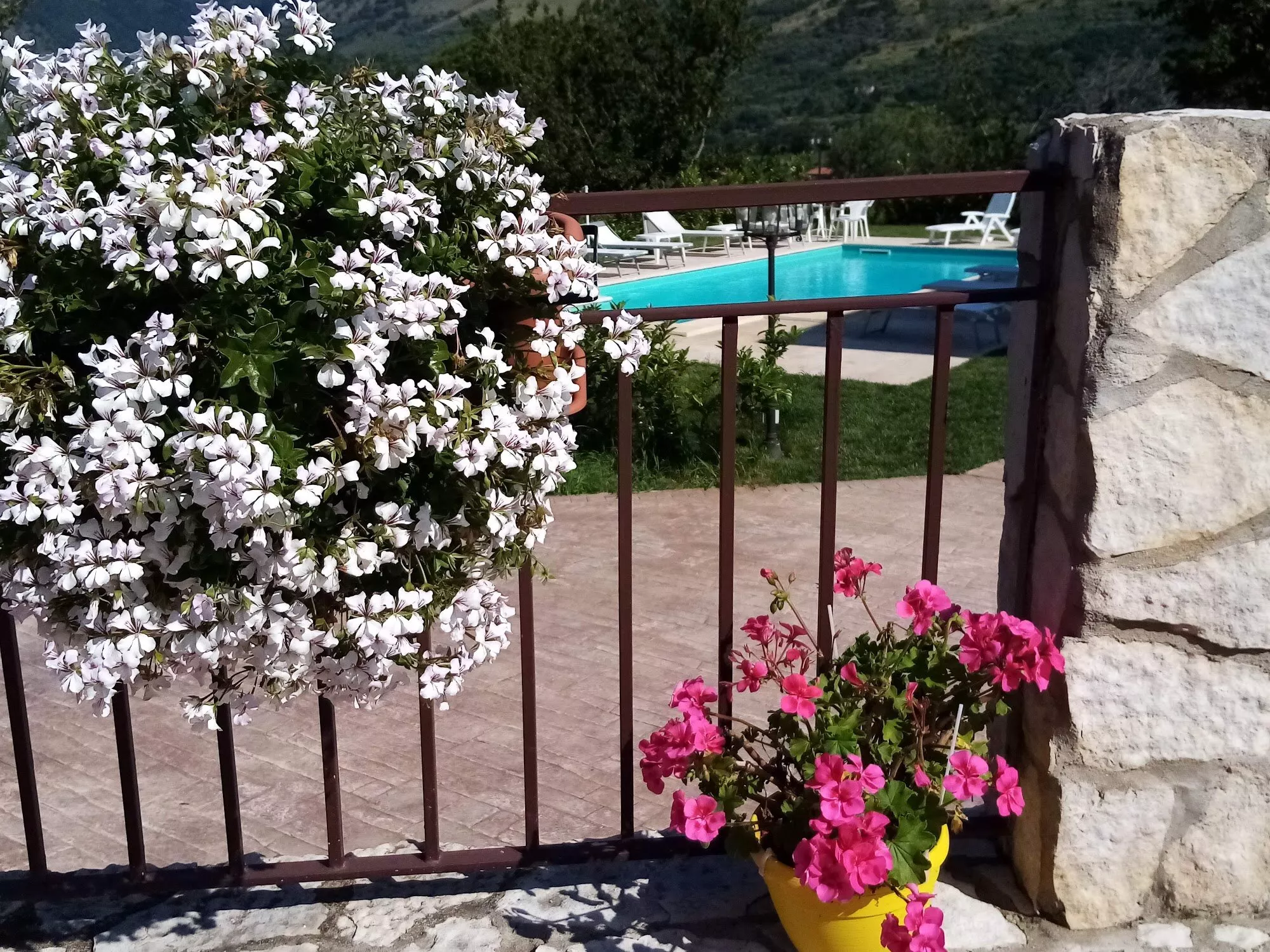 Gerani al cancello, con la piscina sullo sfondo