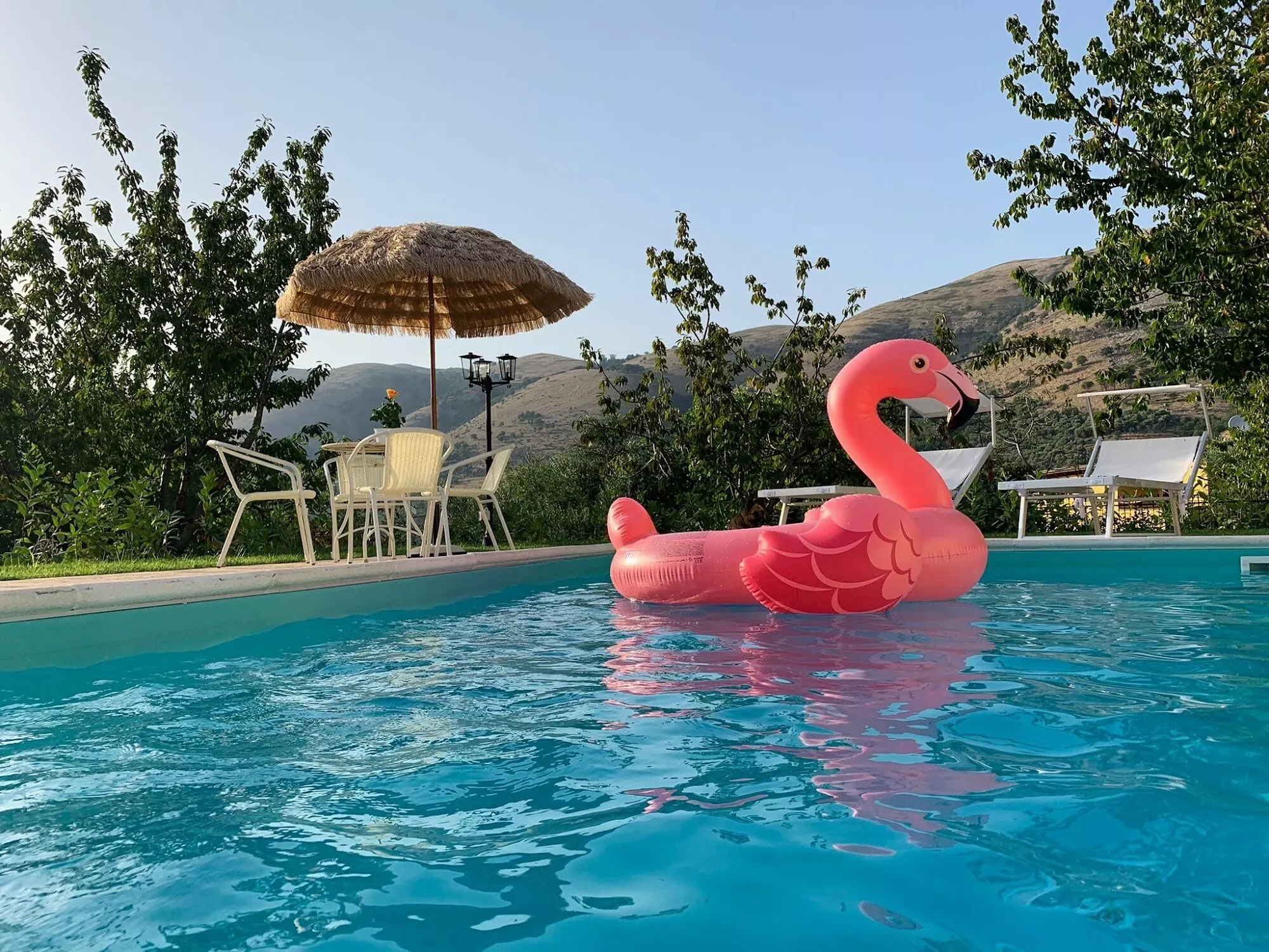 La piscina con il fenicottero gonfiabile e gli ombrelloni